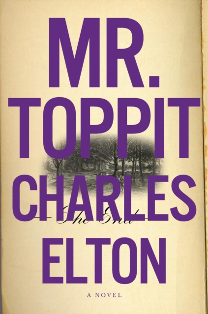 Mr. Toppit, EPUB eBook