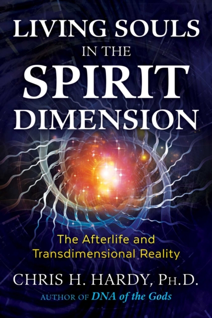 Living Souls in the Spirit Dimension : The Afterlife and Transdimensional Reality, Paperback / softback Book