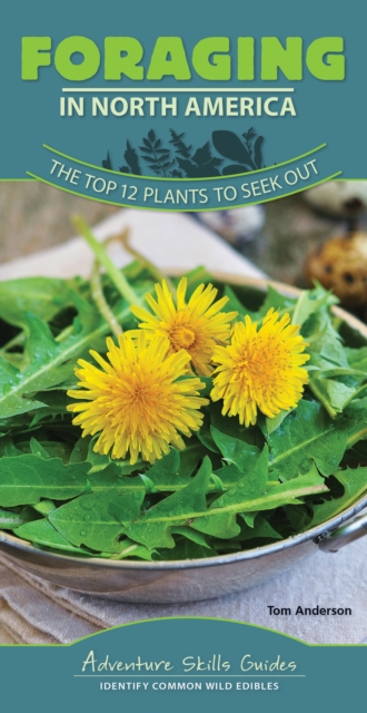 Foraging in North America : The Top 12 Plants to Seek Out, Spiral bound Book