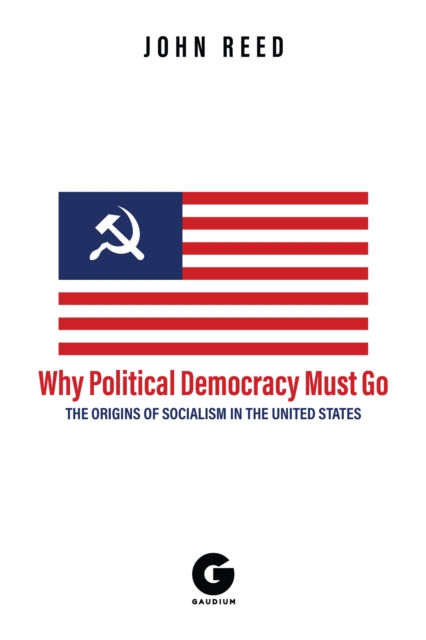 Why Political Democracy Must Go, EPUB eBook