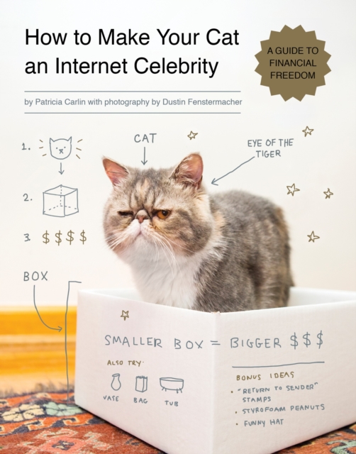 How to Make Your Cat an Internet Celebrity : A Guide to Financial Freedom, Paperback / softback Book