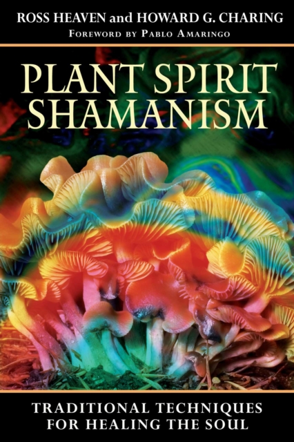 Plant Spirit Shamanism : Traditional Techniques for Healing the Soul, EPUB eBook