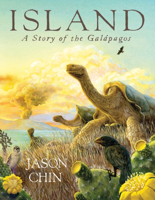 Island : A Story of the Galapagos, Hardback Book