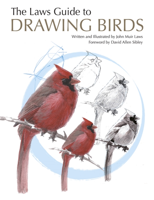 The Laws Guide to Drawing Birds, Paperback / softback Book