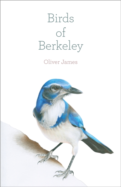 Birds of Berkeley, Paperback / softback Book