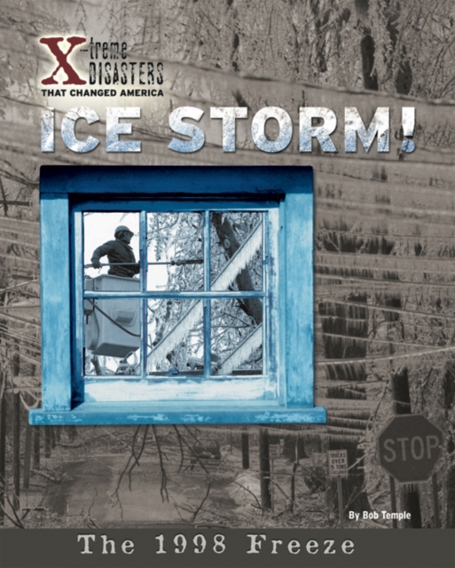 Ice Storm!, PDF eBook