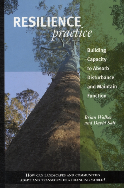 Resilience Practice : Building Capacity to Absorb Disturbance and Maintain Function, Paperback / softback Book