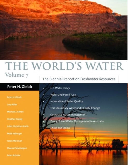 The World's Water 1998-1999 : The Biennial Report On Freshwater Resources, Paperback / softback Book