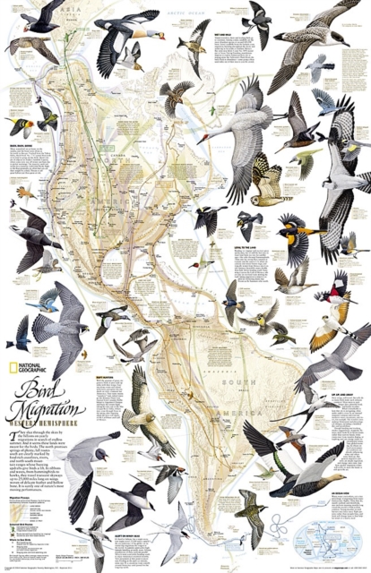 Bird Migration, Western Hemisphere, Tubed : Wall Maps History & Nature, Sheet map, rolled Book
