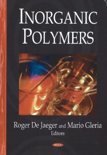 Inorganic Polymers, Hardback Book