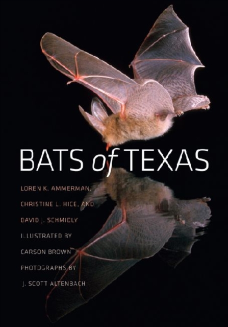 Bats of Texas, Paperback / softback Book