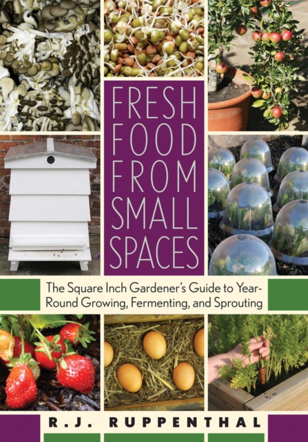 Fresh Food from Small Spaces : The Square-Inch Gardener's Guide to Year-Round Growing, Fermenting, and Sprouting, Paperback / softback Book