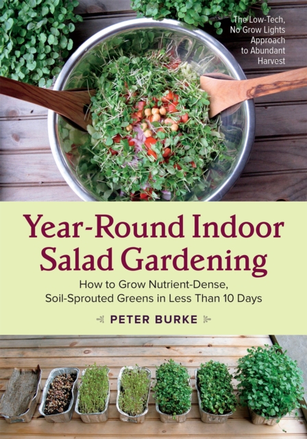 Year-Round Indoor Salad Gardening : How to Grow Nutrient-Dense, Soil-Sprouted Greens in Less Than 10 days, Paperback / softback Book