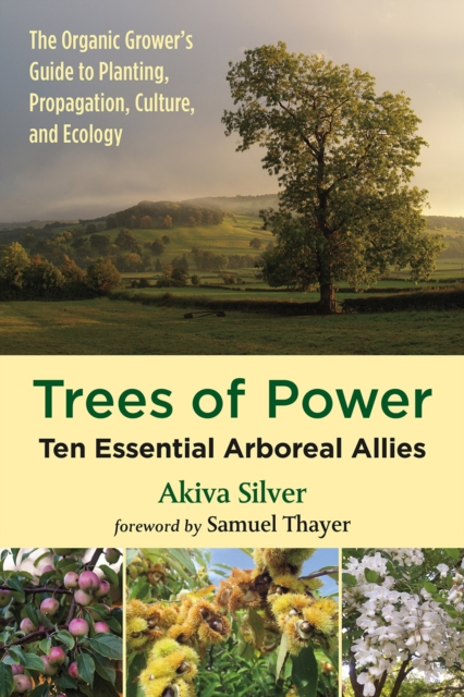 Trees of Power : Ten Essential Arboreal Allies, Paperback / softback Book