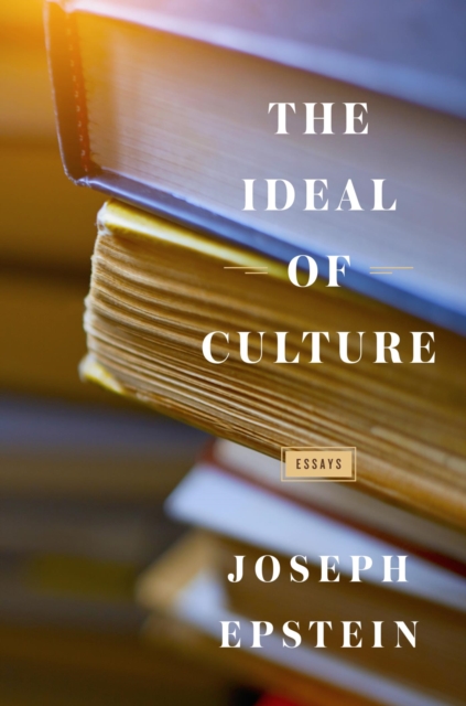 Ideal of Culture : Essays, EPUB eBook