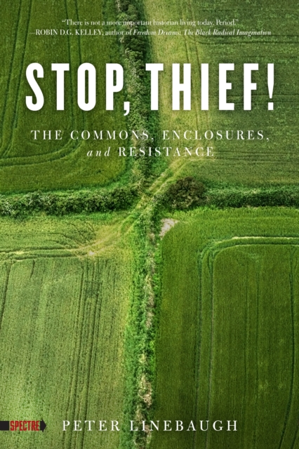 Stop, Thief! : The Commons, Enclosures, And Resistance, Paperback / softback Book