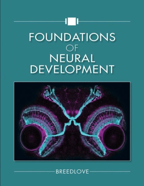 Foundations of Neural Development, Hardback Book
