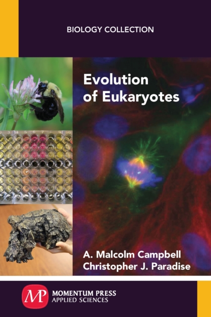 Evolution of Eukaryotes, Paperback / softback Book