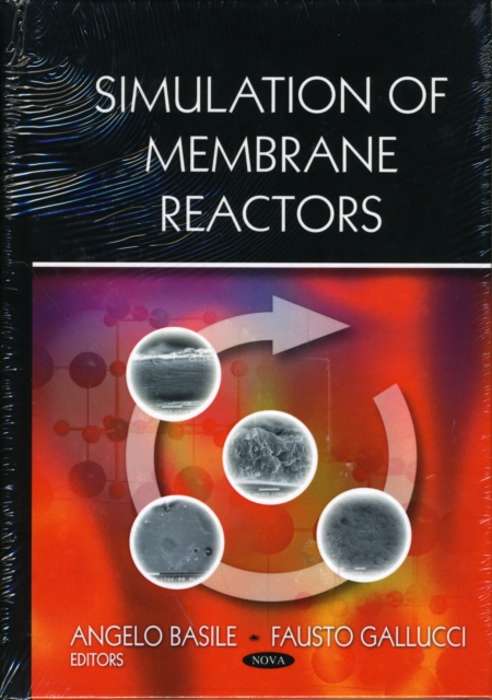 Simulation of Membrane Reactors, Hardback Book