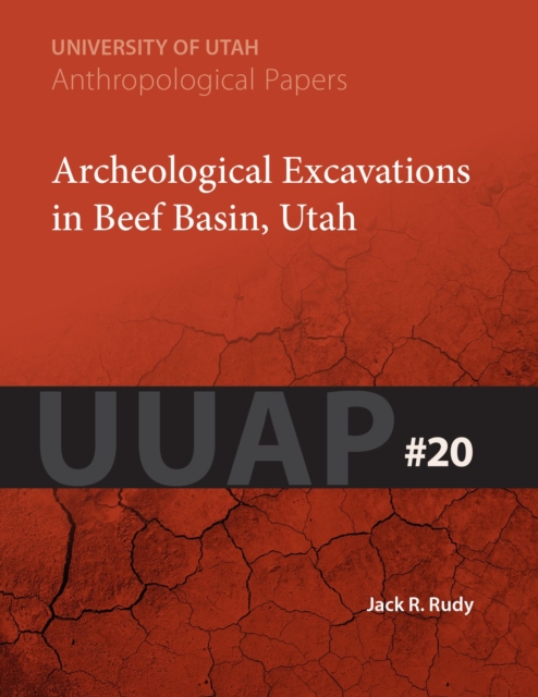 Archeological Excavations in Beef Basin, Utah, Paperback / softback Book