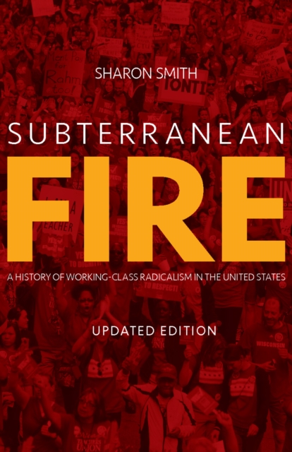 Subterranean Fire : A History of Working-Class Radicalism in the United States, EPUB eBook