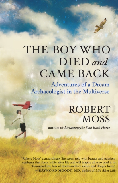 The Boy Who Died and Came Back : Adventures of a Dream Archaeologist in the Multiverse, EPUB eBook