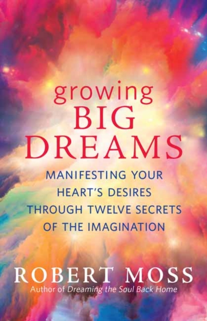 Growing Big Dreams : Manifesting Your Heart's Desires Through Twelve Secrets of the Imagination, Paperback / softback Book