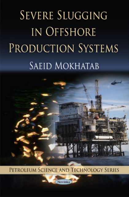 Severe Slugging in Offshore Production Systems, Paperback / softback Book