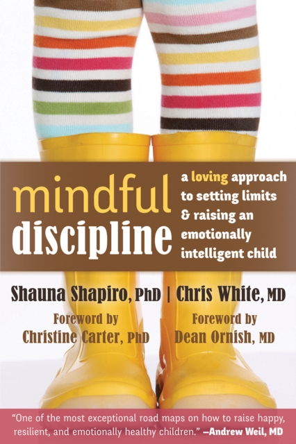 Mindful Discipline, PDF eBook