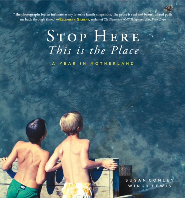 Stop Here, This is the Place, EPUB eBook