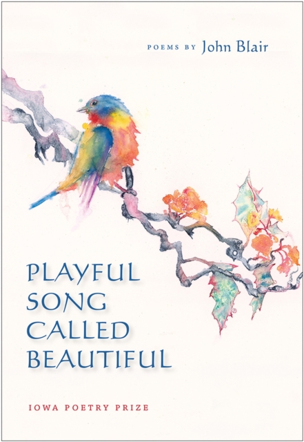 Playful Song Called Beautiful, Paperback / softback Book