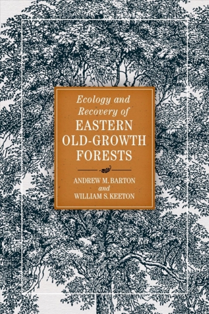 Ecology and Recovery of Eastern Old-Growth Forests, Paperback / softback Book