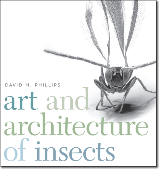 Art and Architecture of Insects, Paperback / softback Book