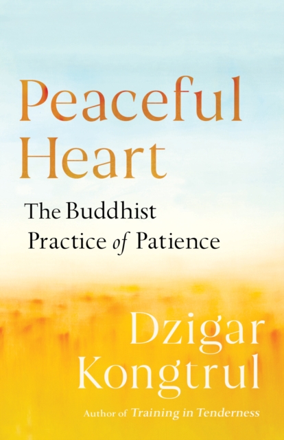 Peaceful Heart : The Buddhist Practice of Patience, Paperback / softback Book