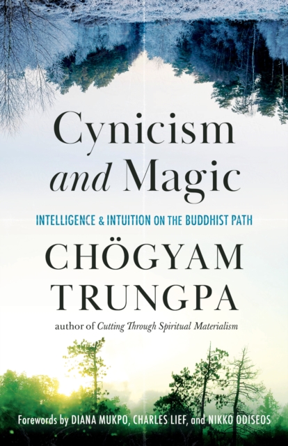 Cynicism and Magic : Intelligence and Intuition on the Buddhist Path, Paperback / softback Book