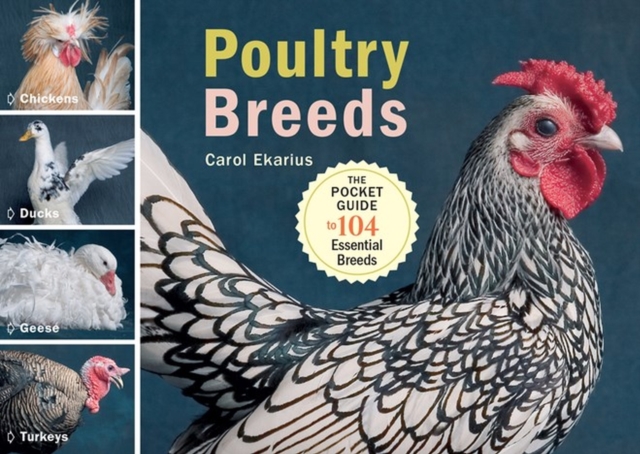 Poultry Breeds : Chickens, Ducks, Geese, Turkeys: The Pocket Guide to 104 Essential Breeds, Paperback / softback Book