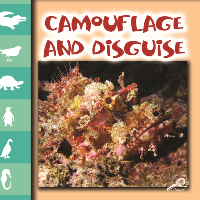Camouflage and Disguise, PDF eBook