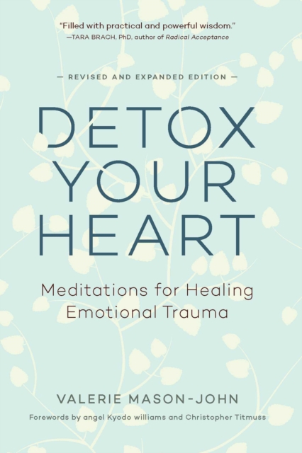 Detox Your Heart : Meditations for Healing Emotional Trauma, EPUB eBook