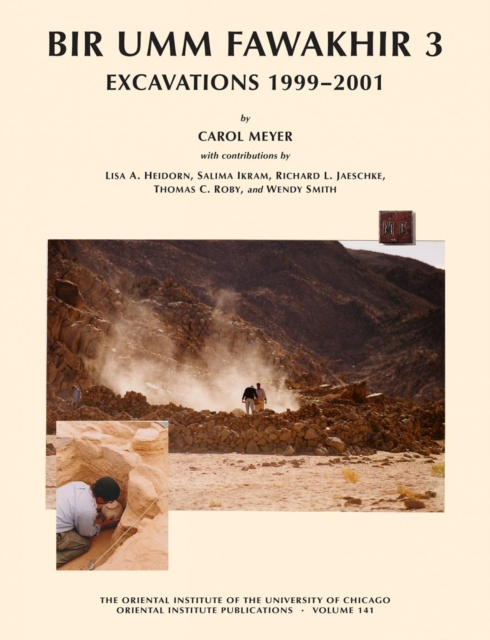 Bir Umm Fawakhir 3 : Excavations 1999-2001, Hardback Book