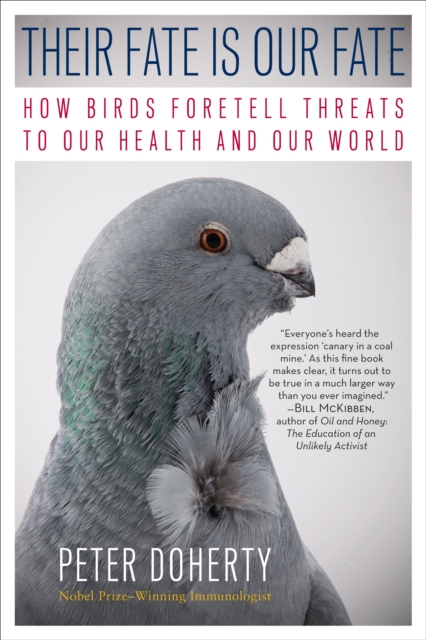 Their Fate Is Our Fate : How Birds Foretell Threats to Our Health and Our World, EPUB eBook