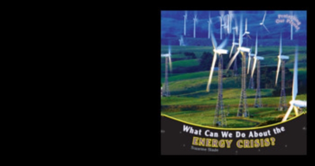 What Can We Do About the Energy Crisis?, PDF eBook