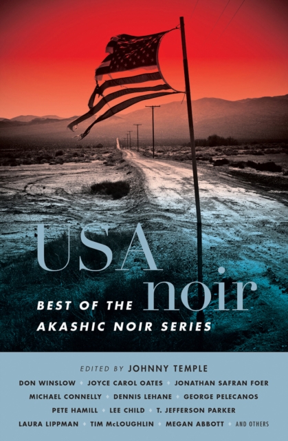USA Noir : Best of the Akashic Noir Series, EPUB eBook
