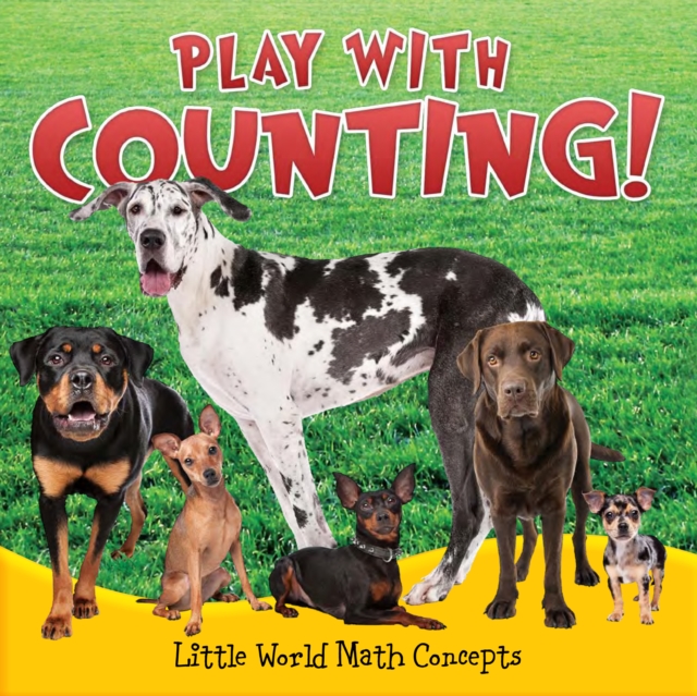 Play With Counting!, PDF eBook