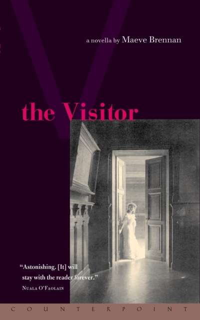 Visitor, EPUB eBook