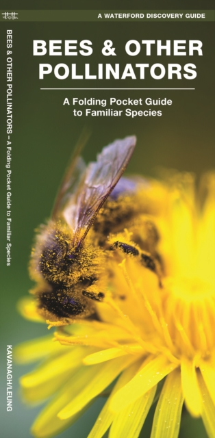 Bees & Other Pollinators : A Folding Pocket Guide to the Status of Familiar Species, Pamphlet Book