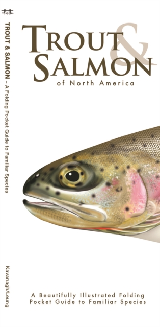 Trout & Salmon : A Folding Pocket Guide to North American Salmonids, Pamphlet Book
