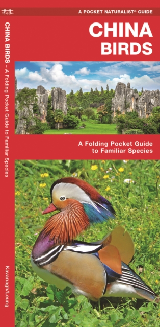 China Birds : A Folding Pocket Guide to Familiar Species, Pamphlet Book