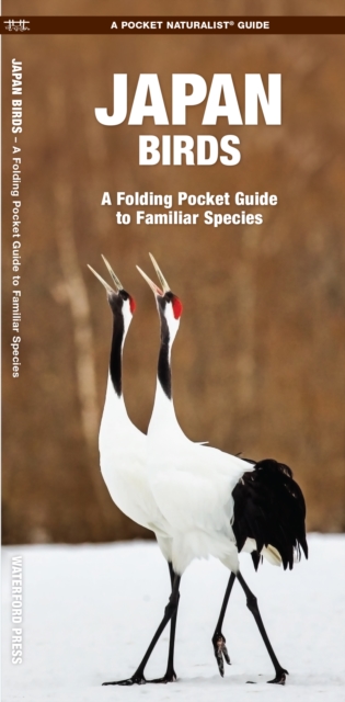 Japan Birds : A Folding Pocket Guide to Familiar Species, Pamphlet Book