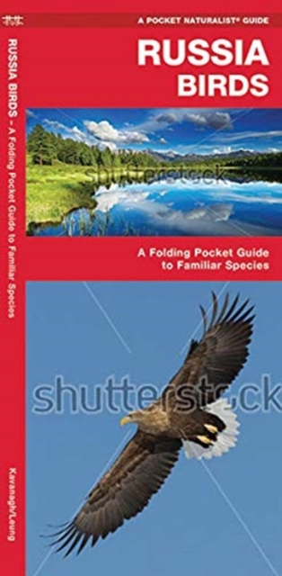Russia Birds : A Folding Pocket Guide to Familiar Species, Pamphlet Book