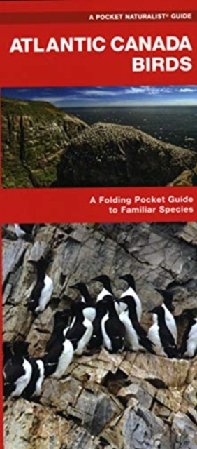 Atlantic Canada Birds : A Folding Pocket Guide to Familiar Species, Pamphlet Book